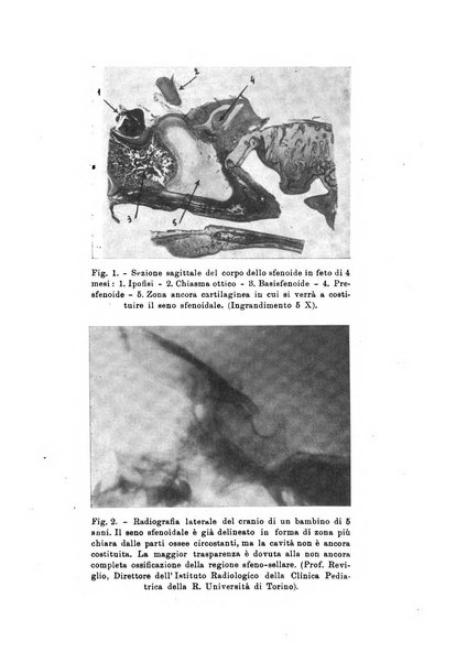 Bollettino delle malattie dell'orecchio, della gola e del naso