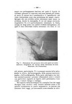 giornale/TO00179184/1939/unico/00000390