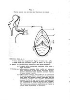 giornale/TO00179184/1940/unico/00000035