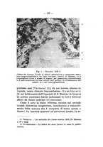 giornale/TO00179184/1940/unico/00000209