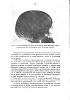 giornale/TO00179184/1941/unico/00000022