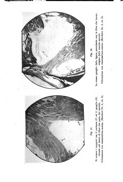 Bollettino delle malattie dell'orecchio, della gola e del naso