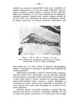 giornale/TO00179184/1941/unico/00000354