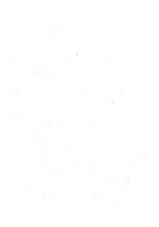 giornale/TO00179232/1925/v.1/00000031