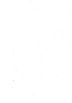 giornale/TO00179232/1925/v.1/00000032