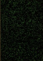 giornale/TO00179232/1925/v.2