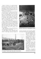 giornale/TO00179380/1933/unico/00000987
