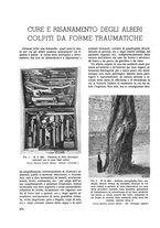 giornale/TO00179380/1938/unico/00000526