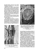 giornale/TO00179380/1938/unico/00000528