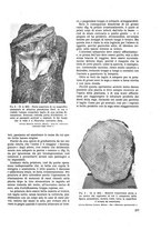 giornale/TO00179380/1938/unico/00000531