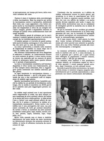 Milano rivista mensile del Comune