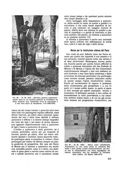 Milano rivista mensile del Comune