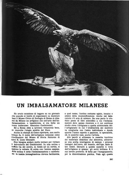 Milano rivista mensile del Comune