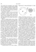 giornale/TO00179454/1940/unico/00000252