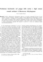 giornale/TO00179454/1940/unico/00000309