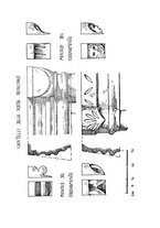 giornale/TO00179501/1933/unico/00000157