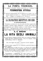 giornale/TO00179552/1891/unico/00000023