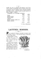 giornale/TO00179552/1893/unico/00000225