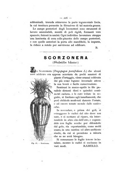 Bollettino ufficiale del Comizio agrario biellese e della Societa orto- agricola di biella e circondario