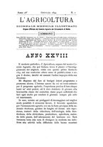 giornale/TO00179552/1894/unico/00000009