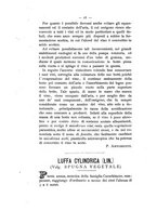giornale/TO00179552/1894/unico/00000026