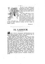 giornale/TO00179552/1894/unico/00000027