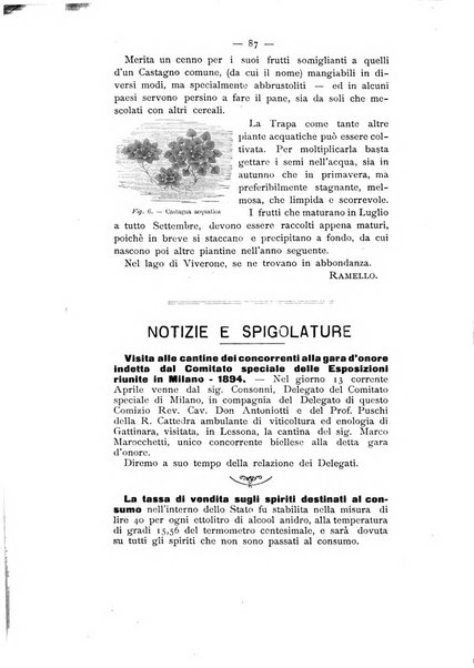 Bollettino ufficiale del Comizio agrario biellese e della Societa orto- agricola di biella e circondario