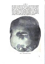 giornale/TO00179552/1895/unico/00000014