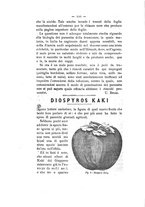 giornale/TO00179552/1895/unico/00000078