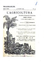 giornale/TO00179552/1896/unico/00000227