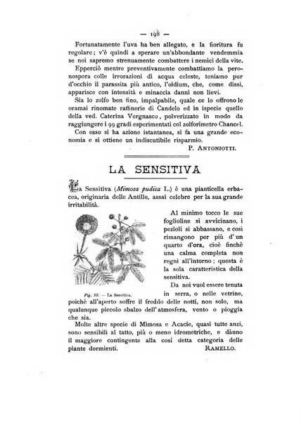 Bollettino ufficiale del Comizio agrario biellese e della Societa orto- agricola di biella e circondario