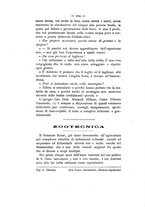 giornale/TO00179552/1896/unico/00000264