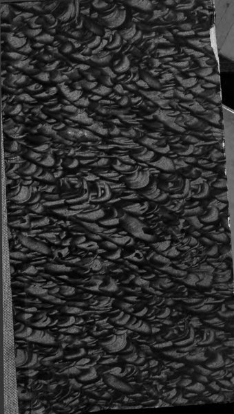 Bollettino ufficiale legislazione e disposizioni ufficiali