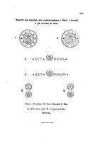 giornale/TO00179562/1932/v.2/00000033