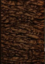 giornale/TO00179562/1945/v.2/00000001