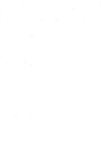 giornale/TO00179565/1895/v.4.1/00000708