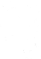 giornale/TO00179565/1908/v.1/00000075
