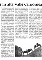 giornale/TO00179693/1931/unico/00000157