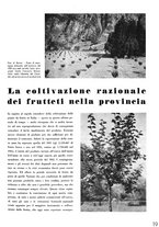 giornale/TO00179693/1933/unico/00000485