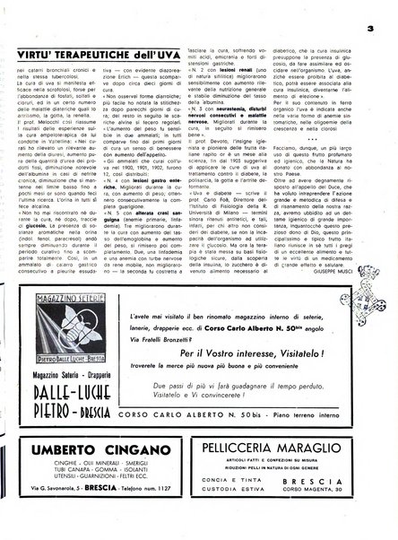 Brescia rassegna mensile illustrata