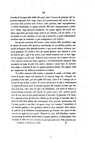 Bullettino delle scienze mediche