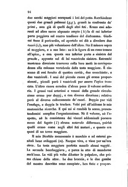 Bullettino delle scienze mediche