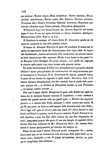 Bullettino delle scienze mediche