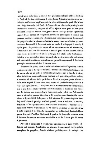 Bullettino delle scienze mediche