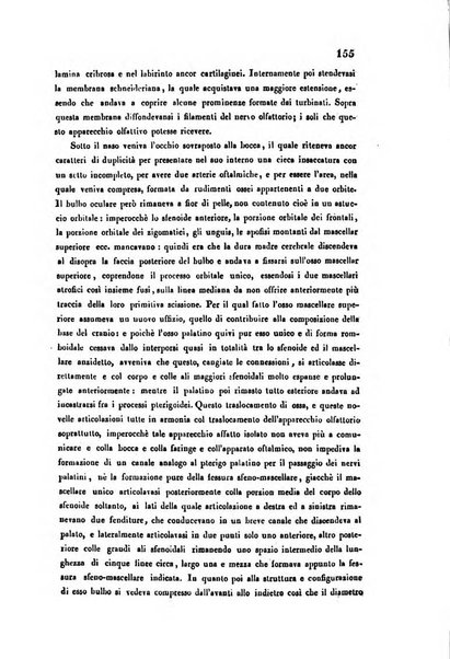 Bullettino delle scienze mediche