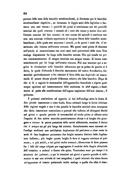 Bullettino delle scienze mediche