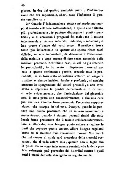 Bullettino delle scienze mediche