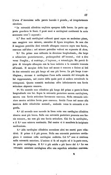 Bullettino delle scienze mediche