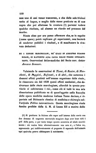 Bullettino delle scienze mediche