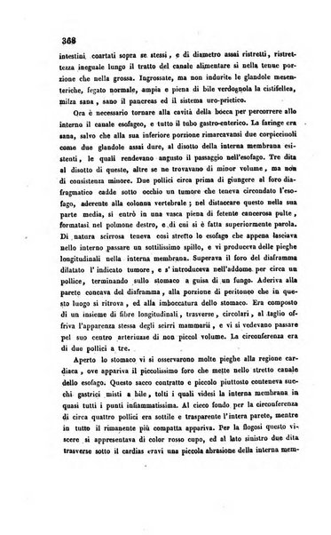 Bullettino delle scienze mediche